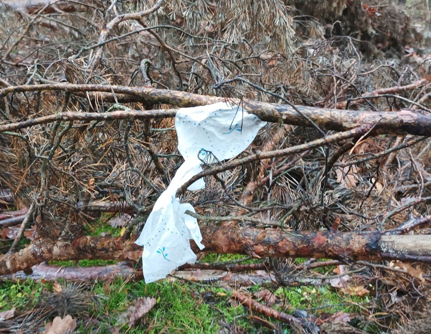 Lasy w Kujawsko-Pomorskiem śmieciami zarzucone. Są jednak tacy, którzy je sprzątają