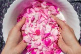 Dzika róża to prawdziwa bomba witaminowa. Poznaj 5 nieoczywistych sposobów na wykorzystanie płatków róży. Jak zrobić nalewkę z dzikiej róży?