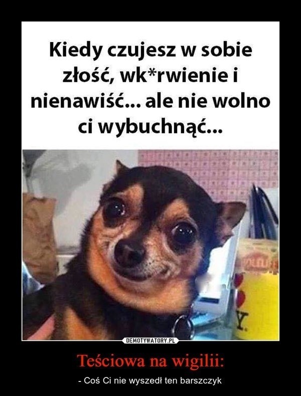 Najśmieszniejsze memy o teściowej. Dzień Teściowej już 5...