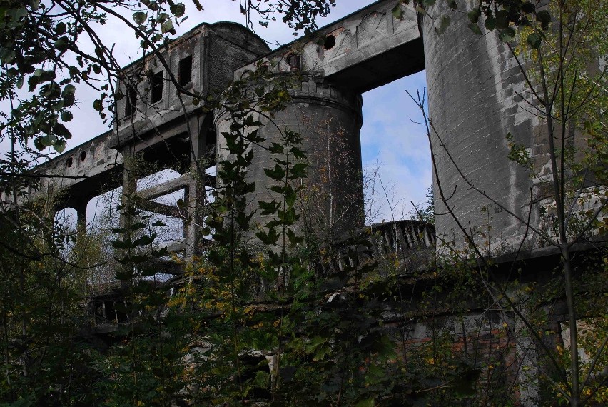 Cementownia Grodziec katastrofa budowlana