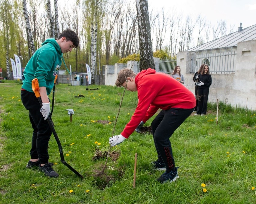 W Łodzi powstałą aleja przyjaźni polsko-ukraińskiej. Uczniowie z obu krajów zasadzili drzewa