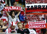 Polska - Anglia. Kibice ze Śląska i Zagłębia najpiękniej dopingowali piłkarzy na PGE Narodowym ZDJĘCIA KIBICÓW
