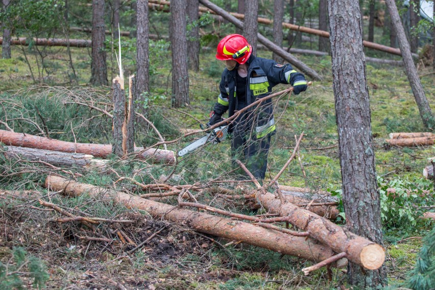 Tragedia w obozie harcerskim w Suszku (powiat chojnicki)