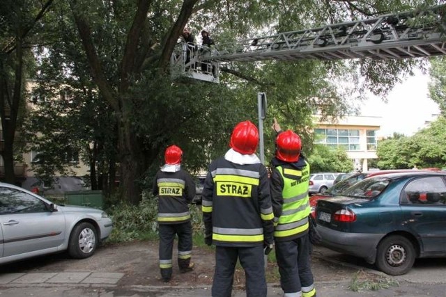 Akcja strażaków na parkingu na Spychalskiego w Opolu.