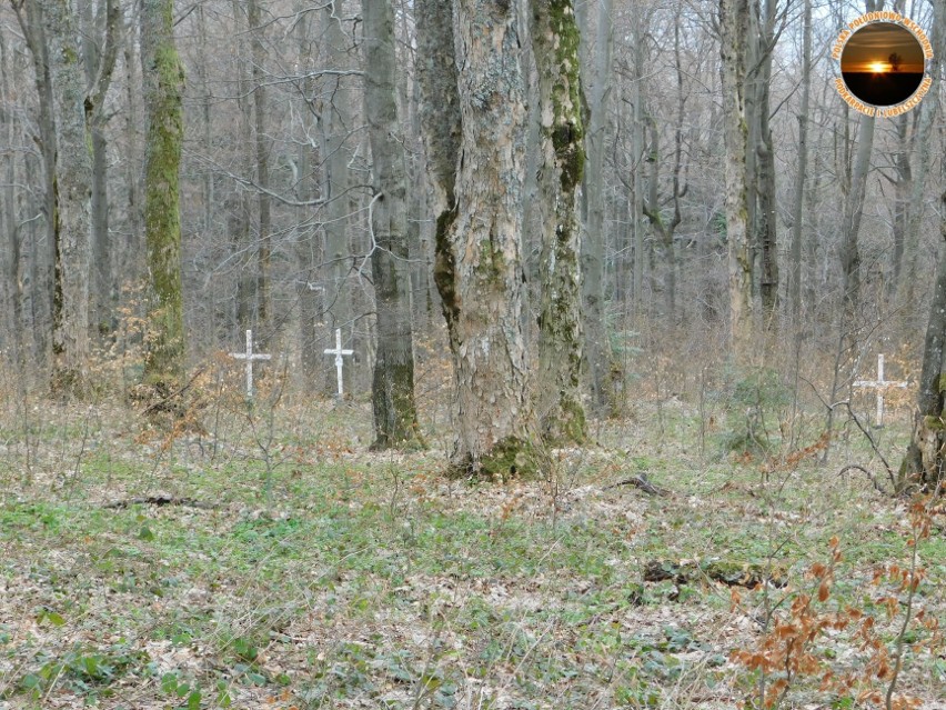 Majówkowa trasa Rabe - Chryszczata - Huczwicze, czyli Bieszczady mniej znane [ZDJĘCIA]