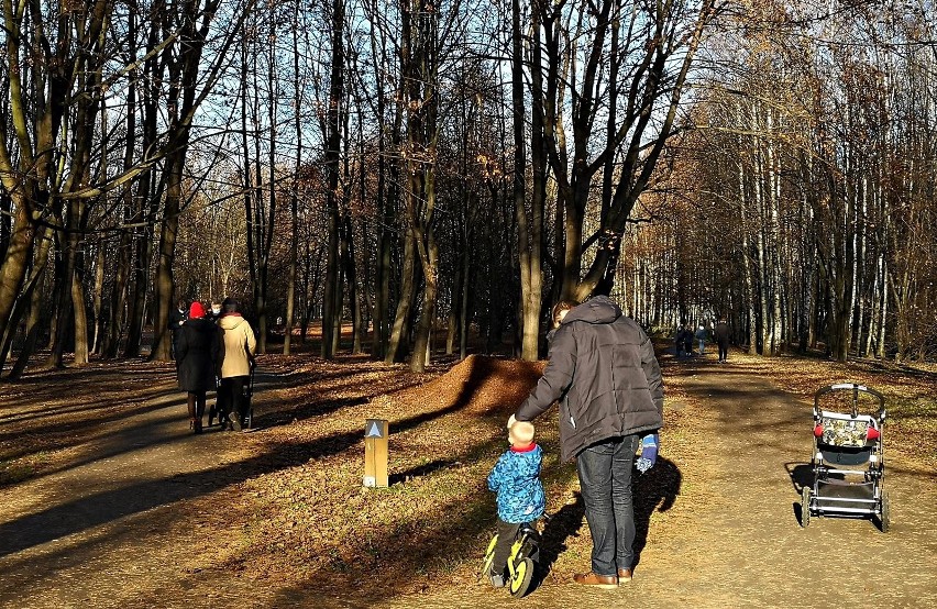 Kraków. Park Lotników Polskich zachwyca jesienią i przyciąga spacerowiczów [ZDJĘCIA] 