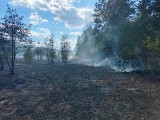Kilkudziesięciu strażaków walczyło z pożarem w Staszowie. Trudna akcja