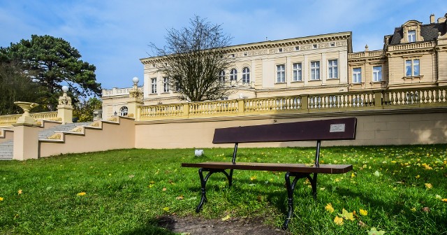 Ostromecko "w żółtych płomieniach liści"