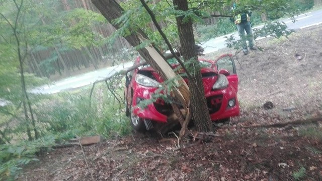 Do zdarzenia doszło w, środę 26 lipca, na drodze krajowej nr 27 koło Nowogrodu Bobrzańskiego. Samochód uderzył w drzewo. Kierująca peugeotem jechała w kierunku Nowogrodu Bobrzańskiego. W pewnej chwili wpadła w poślizg i straciła panowanie nad samochodem. Wypadła z drogi, uderzając przodem w drzewo. Zdarzenie wyglądało bardzo groźnie. Na szczęście kierującej nic się nie stało.Wypadek na autostradzie A1 pod Włocławkiem. Policja szuka świadków