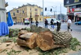 Znika drzewo sprzed wejścia do Ogrodu Saskiego