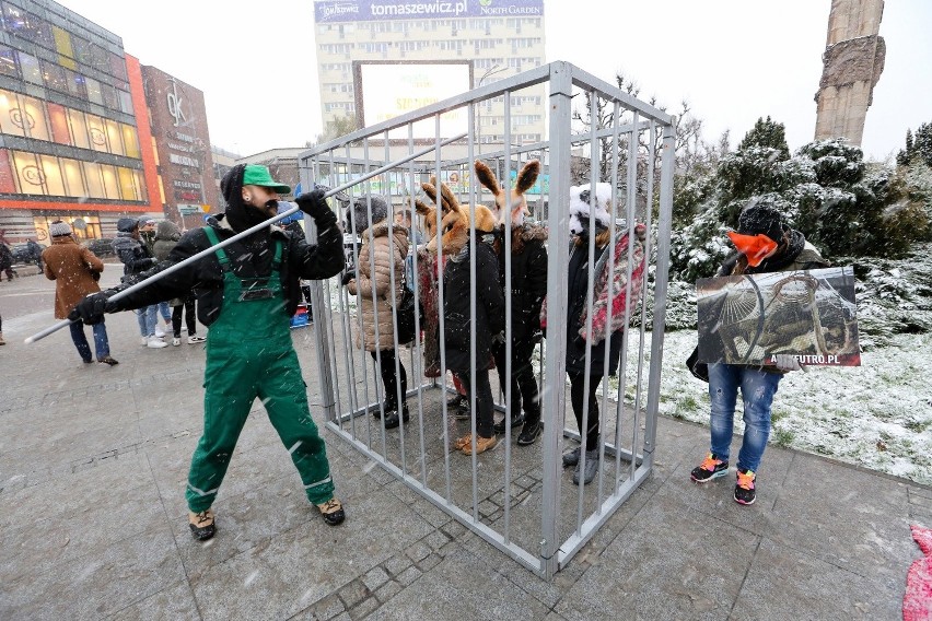 Dzień Bez Futra w Szczecinie [zdjęcia]