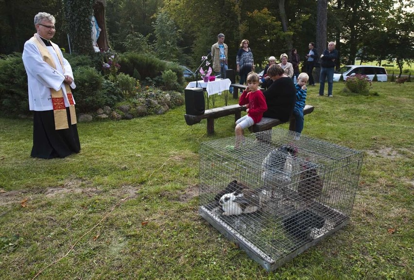 Niedzielne nabożeństwo w towarzystwie swojego zwierzaka [zdjęcia]