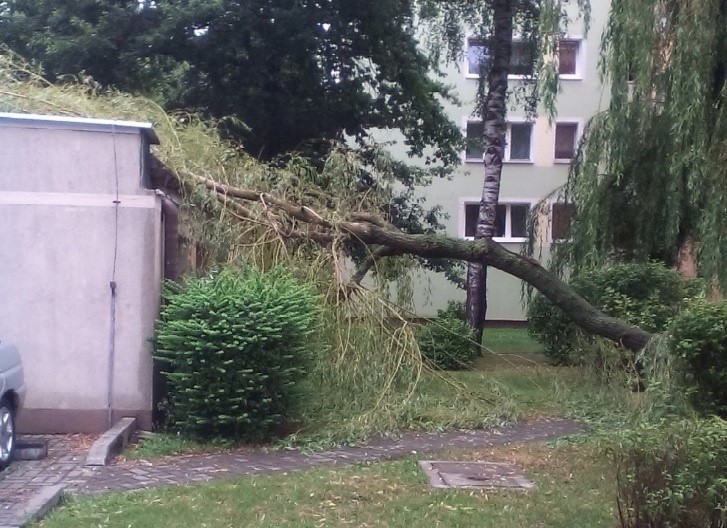 Podczas burzy, która przeszła nad częścią Słupska, przy ul....