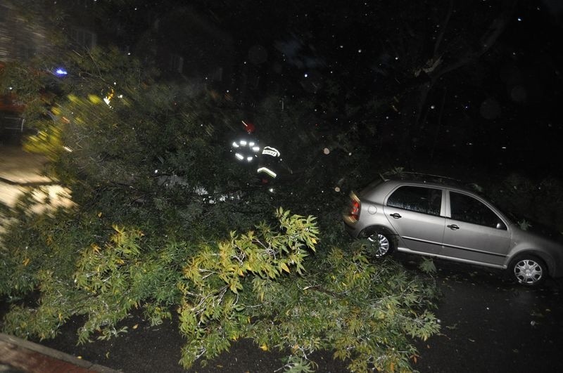 Burza powaliła drzewo na samochody w Szczecinku