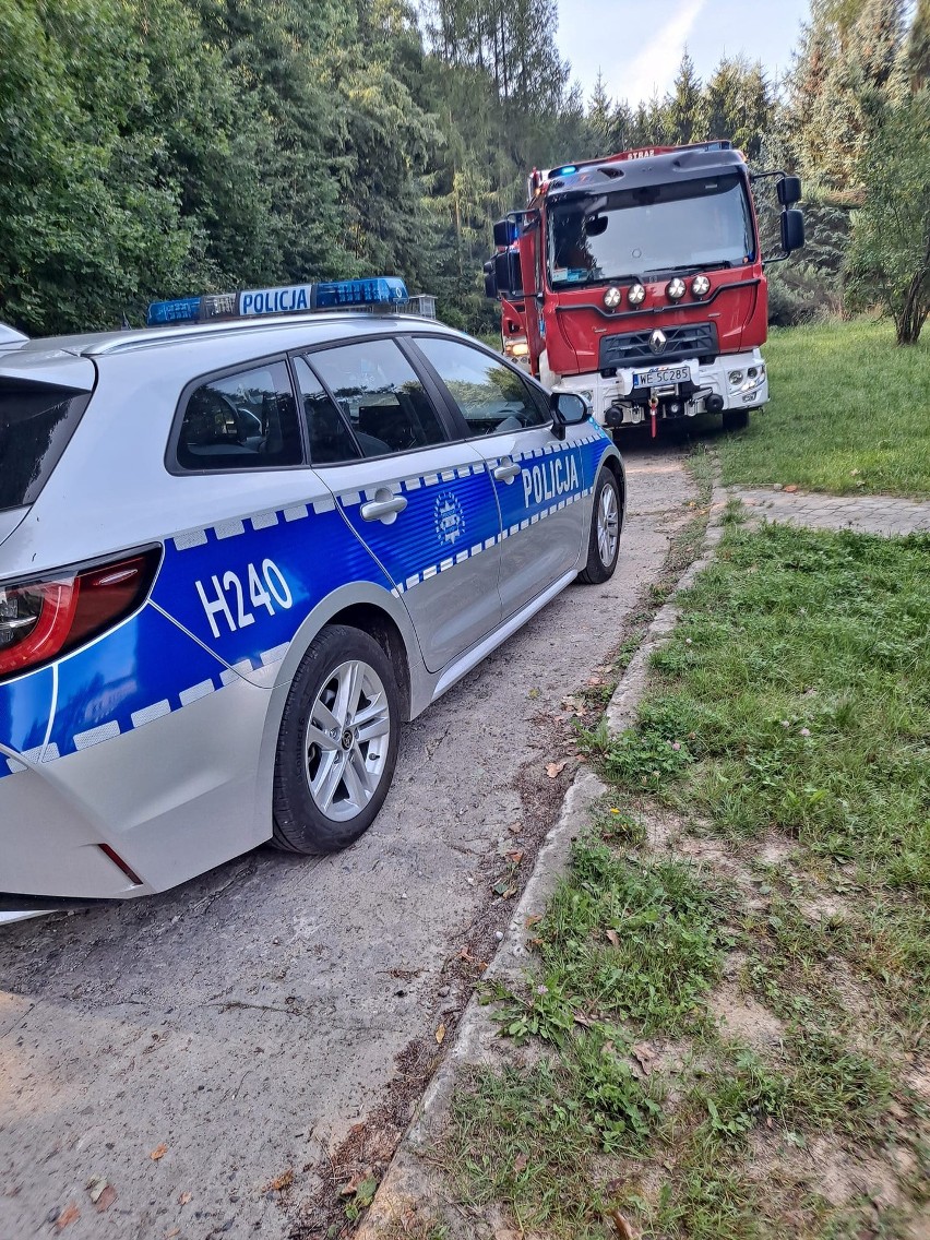 Zderzenie dwóch busów w Borkowicach, w powiecie przysuskim. Na miejscu działały służby