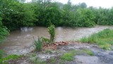 Alarm powodziowy pod Tarnowem. Wody w małych potokach i Białej gwałtownie przybywa 