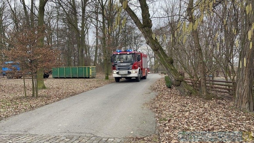 Siedem zastępów straży w opolskim zoo. W szklarni pojawił się ogień. Co ze zwierzętami?