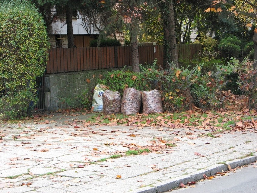 Wrocław: Krzyki jak Neapol - toną w śmieciach. Od ponad tygodnia nikt ich nie odebrał [FOTO]