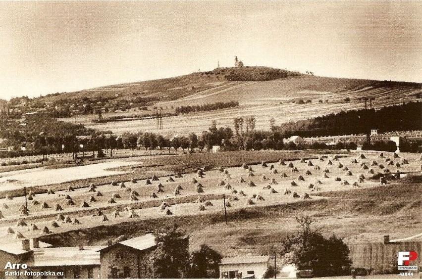 Góra Dorotka w Bedzinie - Grodźcu