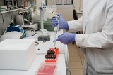 Jest przełom w sprawie polskich testów na koronawirusa. "Ministerstwa się porozumiały i wkrótce rozpocznie się wysyłka testów"
