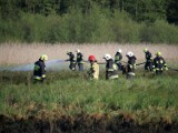 Gigantyczny pożar łąk w Skokach. Z ogniem walczy kilkanaście zastępów straży pożarnej