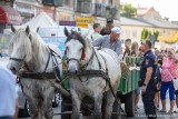 Szesnasta edycja "Uliczki Tradycji" w Radomiu już za nami. Przenieśliśmy się w czasy średniowiecza. Zobacz nowe zdjęcia