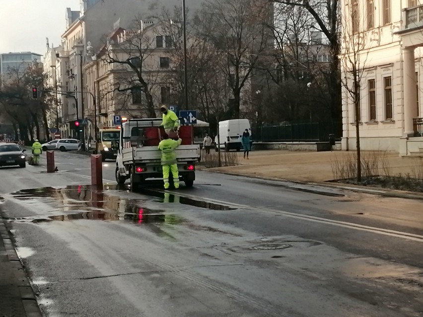 Skończyły się prace na Krakowskim Przedmieściu w Lublinie związane z nasadzaniem zieleni. Kierowcy odzyskali jeden pas