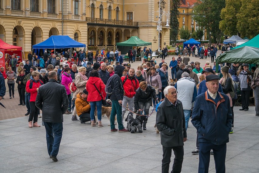 VI Krynicki Hubertus. Myśliwi świętowali w Krynicy