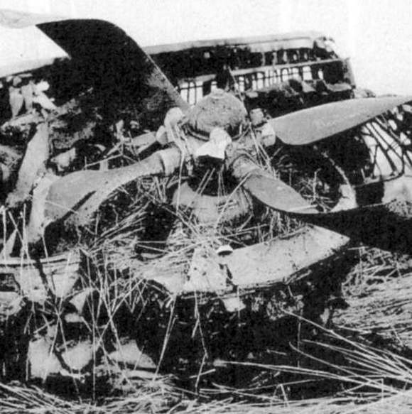 Szczątki zestrzelonego samolotu, którym leciał Dionizy...