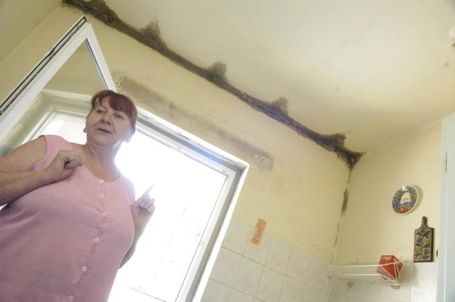 Pani Lidia Magacz nie może wyremontować kuchni, bo wie, że po trzech tygodniach grzyb wróci na ścianę. Po remoncie dachu może to się zmieni.