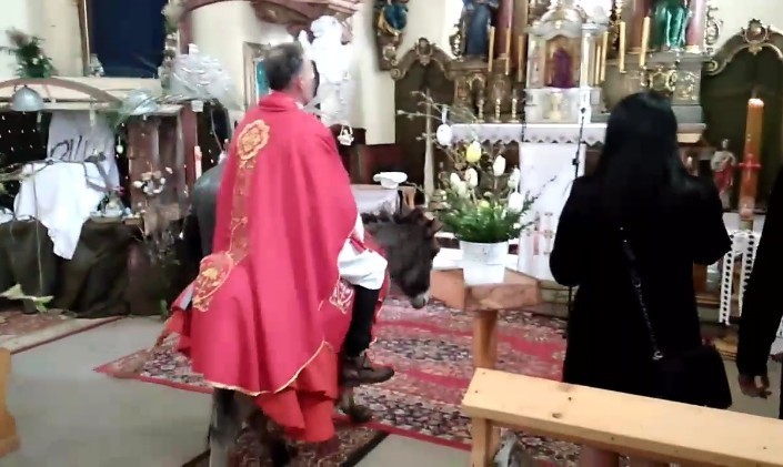 Ksiądz w niedzielę palmową wjechał na osiołku do kościoła [FILM]