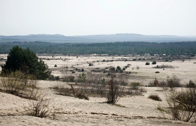 Pustynia Błędowska.