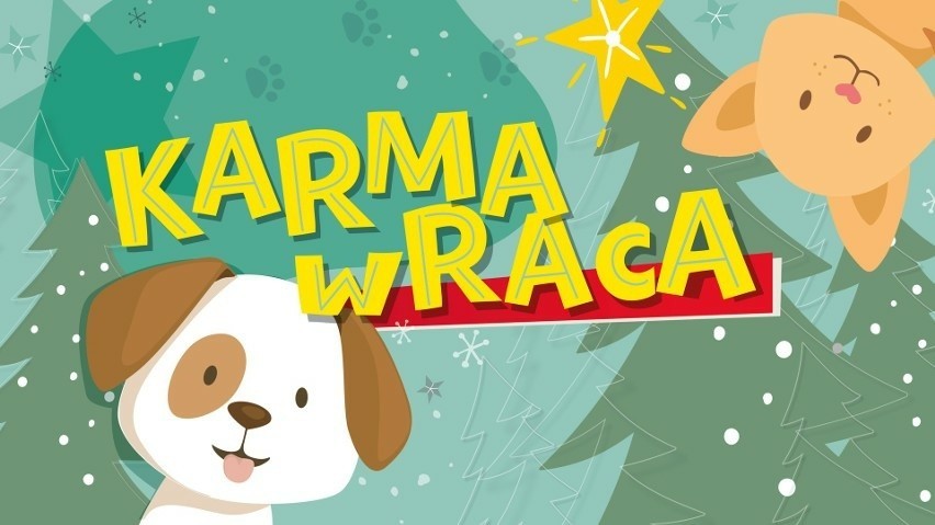 "Karma wraca" w Opolu i Kędzierzynie-Koźlu. Odbierz choinkę w zamian za wsparcie schronisk dla zwierząt. Rozpoczęła się akcja w Turawa Park