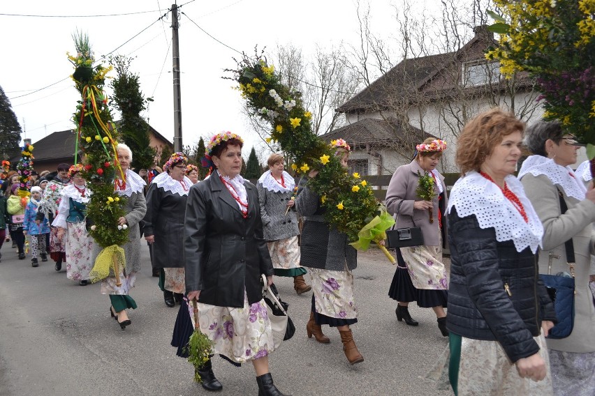 Piękne, ponad dwumetrowe palmy przygotowali mieszkańcy...