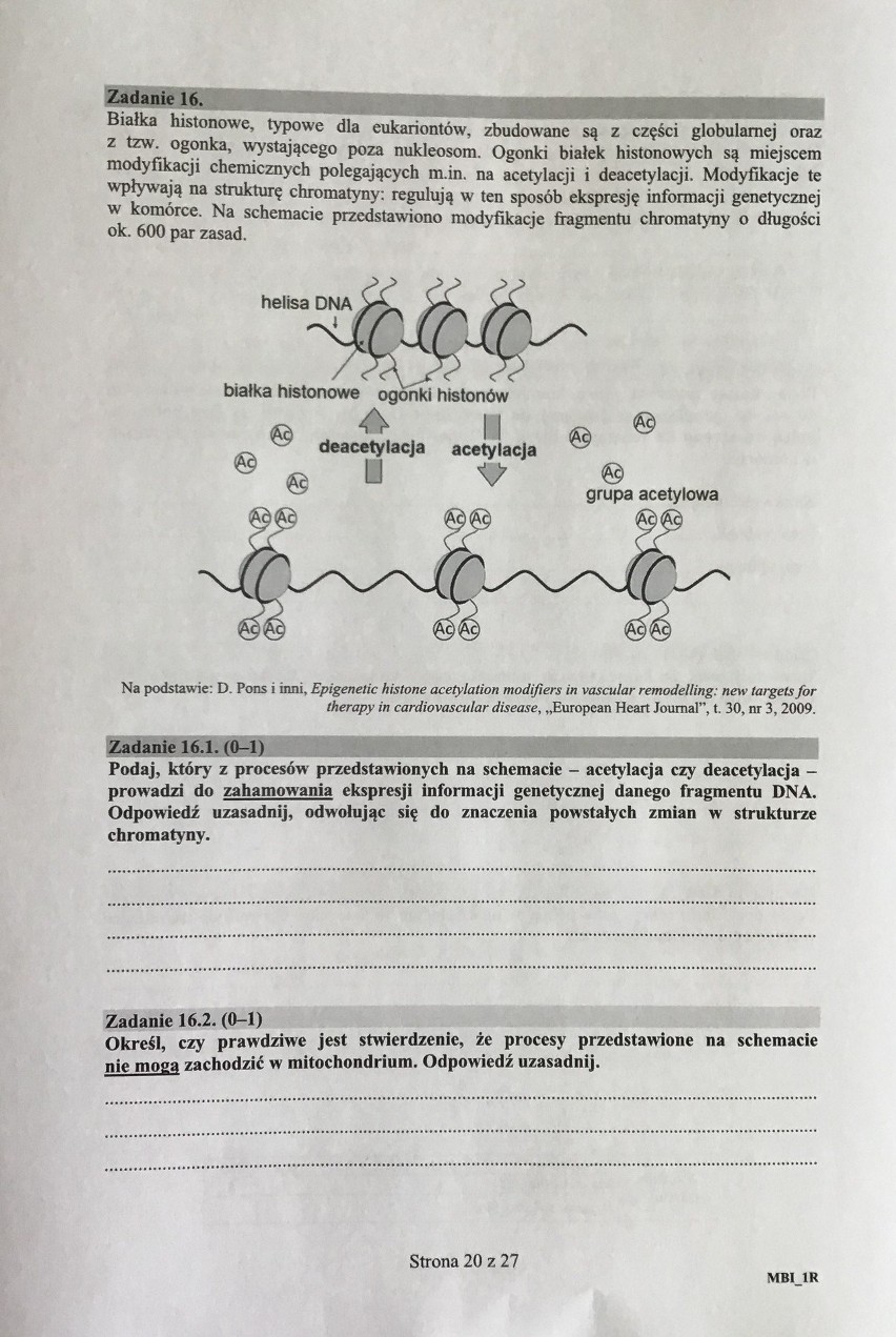 Matura 2018 BIOLOGIA [PODSTAWA, ROZSZERZENIE]. Odpowiedzi i ARKUSZ CKE w serwisie EDUKACJA