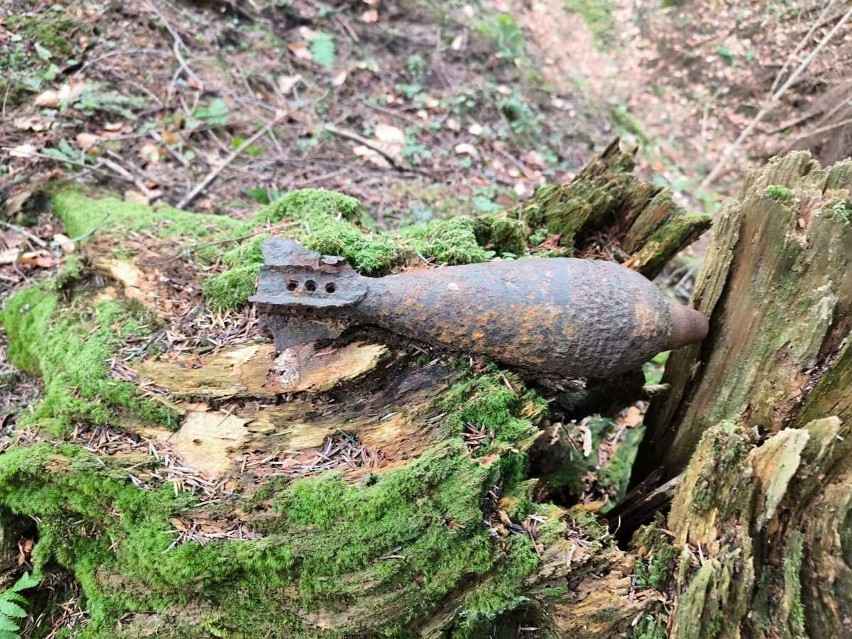 Turysta znalazł niewybuch z II wojny światowej w Bieszczadach. Granat moździerzowy leżał w lesie koło Czarnej Górnej [ZDJĘCIA]