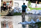 Powodzie w Krośnie Odrzańskim i Gubinie. Czy w tym roku Nysa i Odra mogą nam zagrozić?