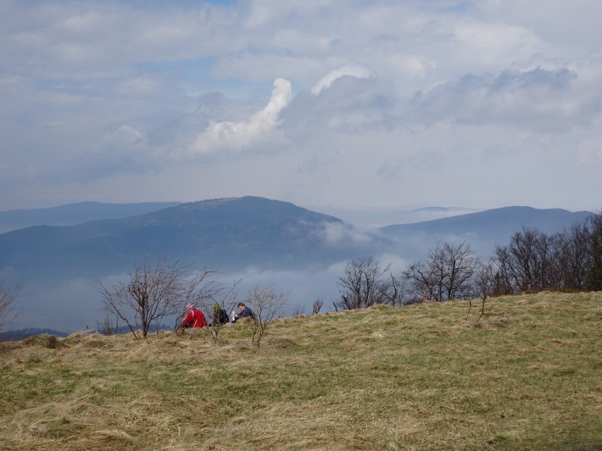 Panorama spod Mogielicy