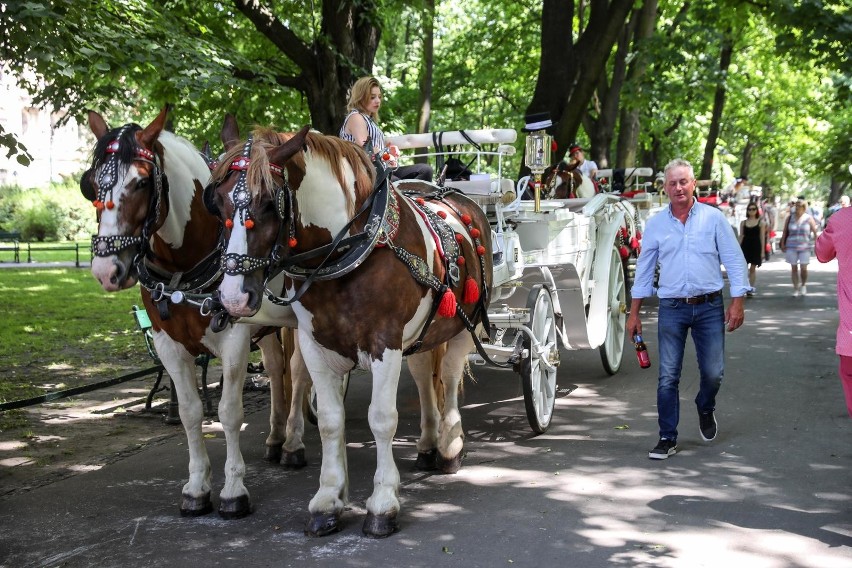 Dorożki to jeden ze stałych elementów krakowskiego...