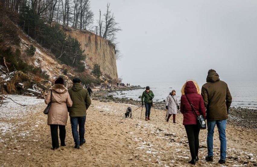 W Gdyni osunął się klif. Ludzie przychodzą oglądać osuwisko