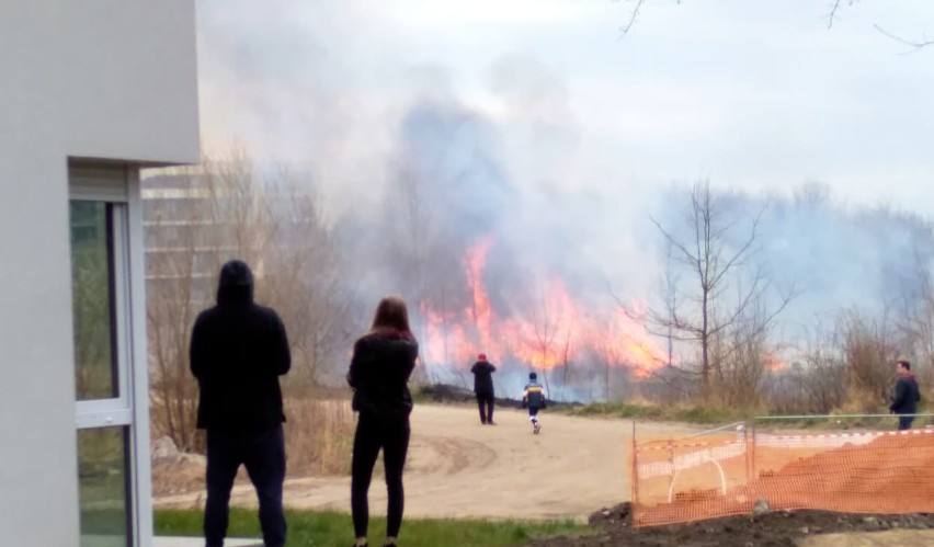 Groźny pożar na Krzykach. Płomienie kilkanaście metrów od bloków [ZDJĘCIA]