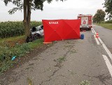 Tragiczny wypadek pod Wrocławiem. Samochód osobowy wjechał w drzewo. Jedna osoba zginęła na miejscu, druga walczy o życie