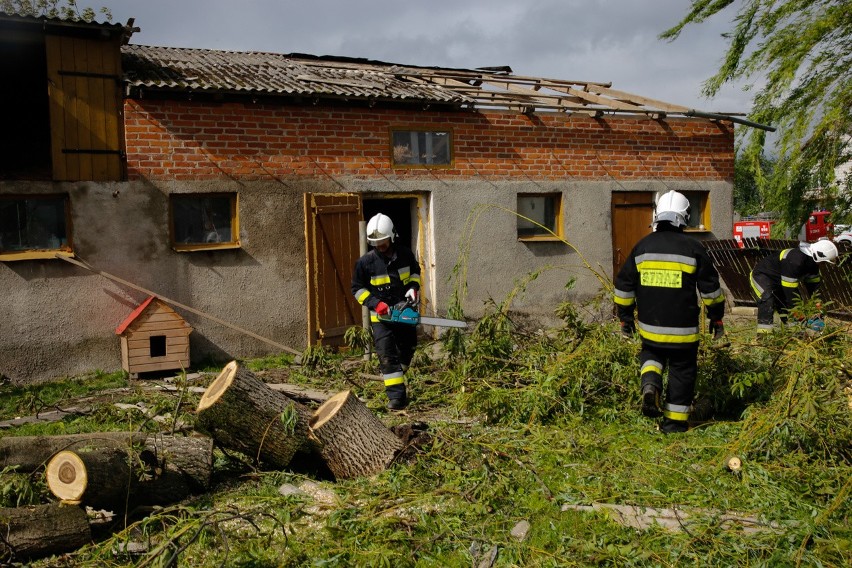 Trwa usuwanie zniszczeń po przejściu trąby powietrznej pod Lublinem. Na miejscu nadal pracują strażacy
