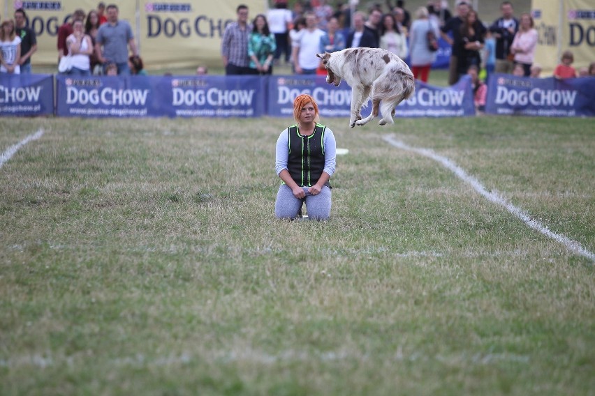 Kejtrówka 2015: Psy znów latały na Cytadeli [ZDJĘCIA]