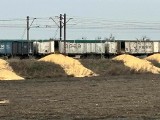 Kukurydza wysypana z pociągu w Kotomierzu pod Bydgoszczą ma trafić do Irlandii