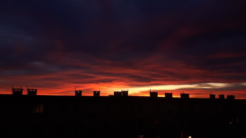 Plebiscyt Pokaż talent! Fascynujący świat fotografii