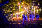 Wielki festiwal iluminacji w Szczecinie. Jakie atrakcje zaplanowano i gdzie warto się wybrać?