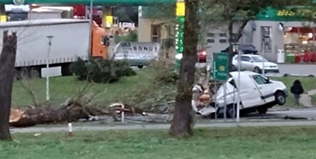 Do poważnych zdarzeń doszło w czwartek, 5 października, na S3 pod Nową Solą i w Nowym Miasteczku. Drzewa powalone przez wiatr upadły na samochody.Najpierw potężny konar upadł na jadącego busa na S3 w Nowym Miasteczku. Wyglądało to dramatycznie. Drzewo zmiażdżyło samochód. Na szczęście upadło na część ładunkową. Gdyby przewróciło się na kabinę kierowcy doszłoby do tragedii.Szczęście miał też kierowca mercedesa na S3 koło Nowej Soli. Na jego auto upadło przewrócone przez wiatr drzewo. Na szczęście nie upadło na dach.Zobacz również: Orkan Ksawery w GorzowieZobacz więcej:   [NA ŻYWO] Orkan Ksawery w Lubuskiem. Jest ofiara śmiertelna