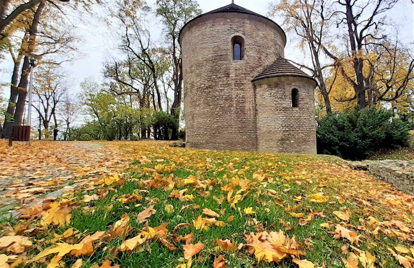 Wszystkie kolory jesieni na Wzgórzu Zamkowym w Cieszynie....