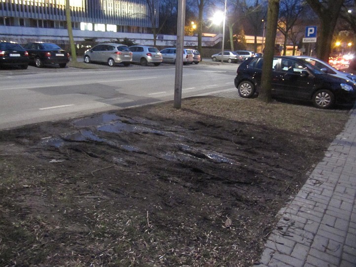 Błoto zamiast trawników przy lubelskich uczelniach (LIST CZYTELNIKA)